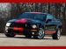 Shelby Shelby Cobra GT500 Red Stripe Picture #10